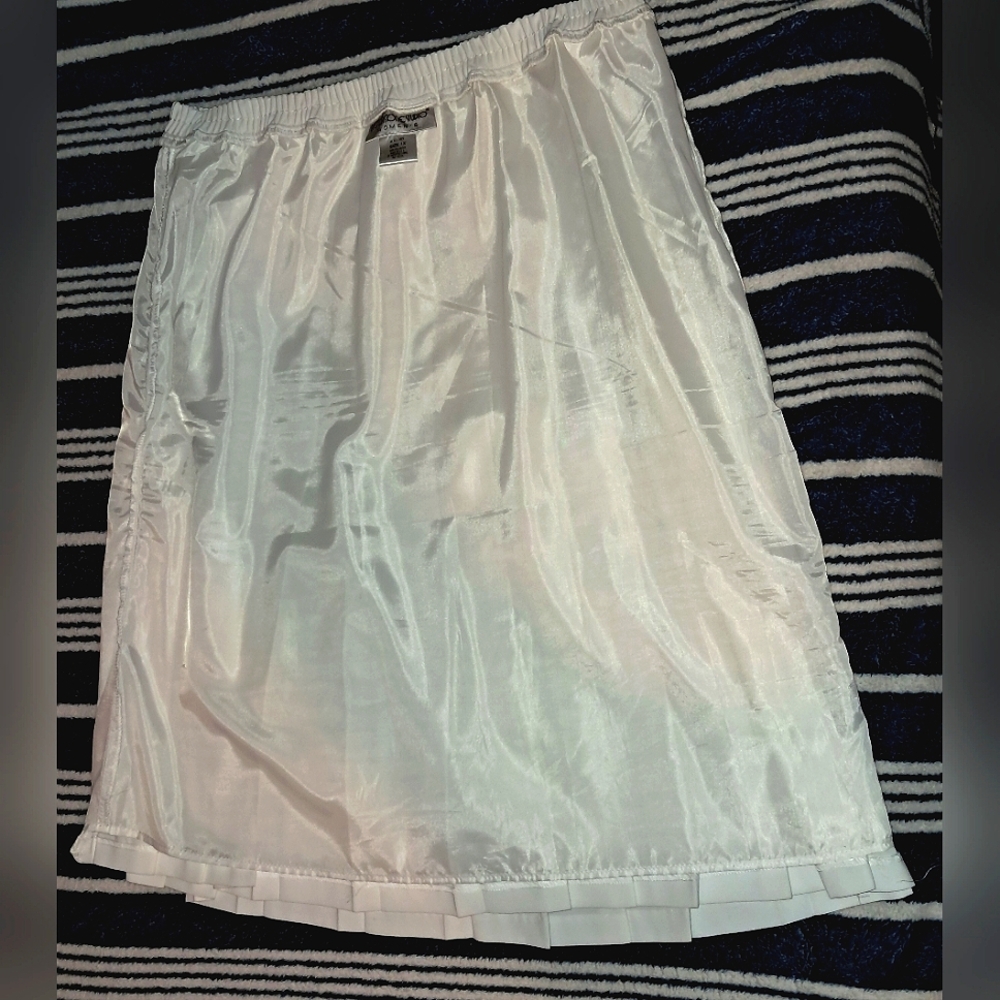 BROWNSTONE PLEATED SKIRT 1X EUC - Picture 8 of 14
